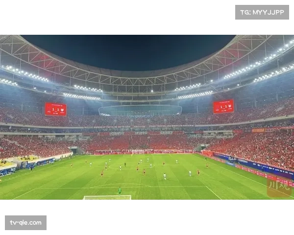 凤凰山体育公园双馆同开，演唱会与中超赛事吸引六万观众